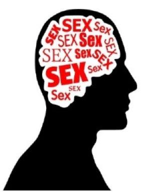 Does sex make you stupid?
