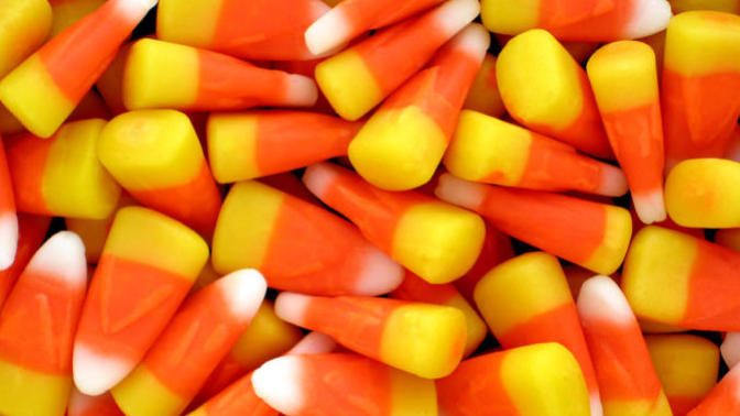 Cady Corn or Candy Pumpkins?