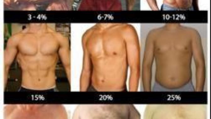 What body fat% looks the best on men?