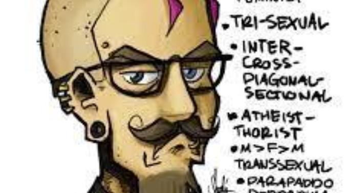 What will future history books write about modern SJWs?