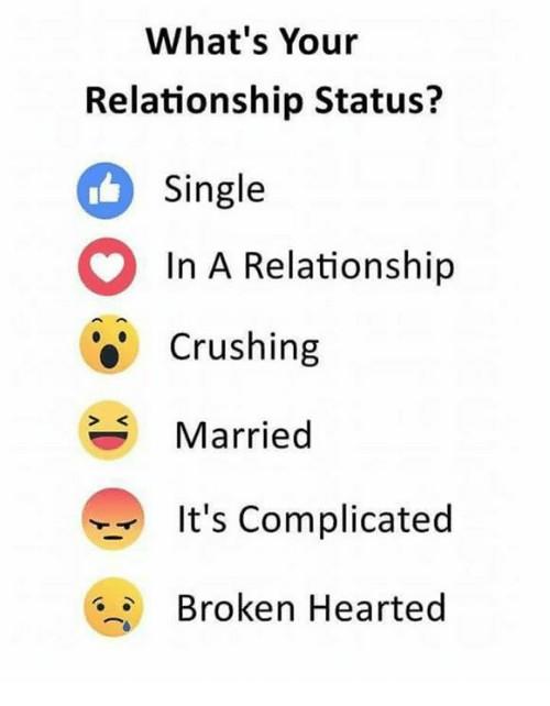 What is your relationship status and why?