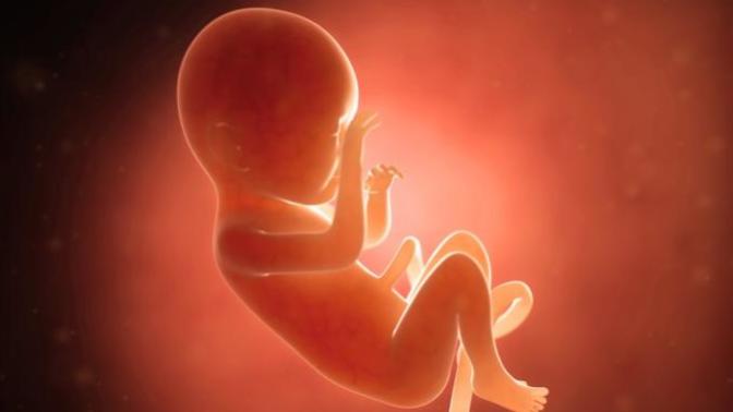 What is your definition on PRO-LIFE, PRO-CHOICE, PRO-ABORTION?