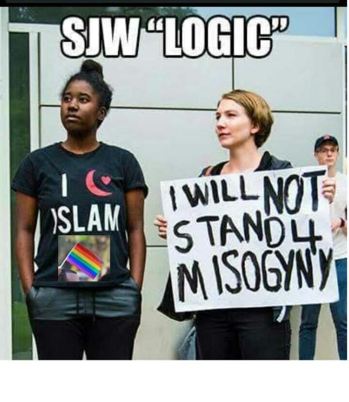 Why Some people claim That there is coalition Between Islam and feminism and SJW And lgBT?