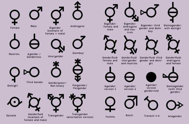 Are there more than two genders?