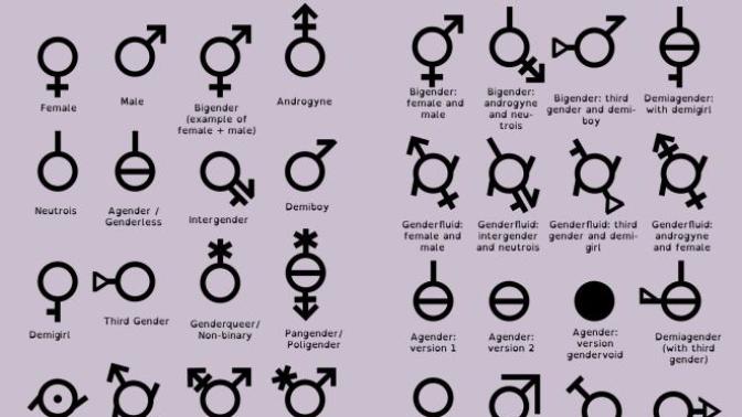 Are there more than two genders?
