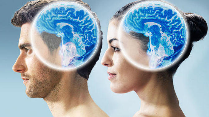 Do men and women have different brains, or is gender entirely learned?