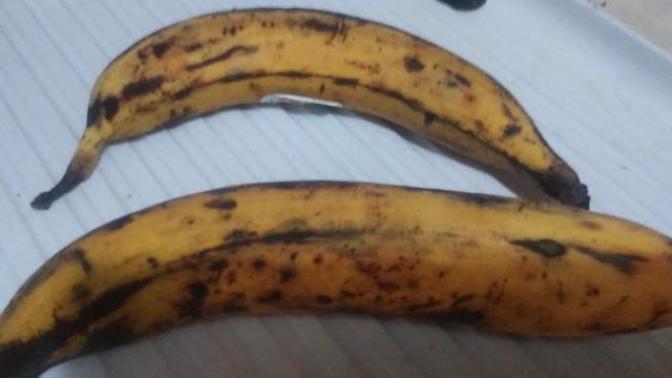 Picking , preparing, and cooking plantains?