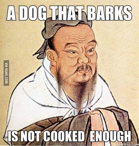Do you believe that dogs should be allowed in pubs and restaurants?