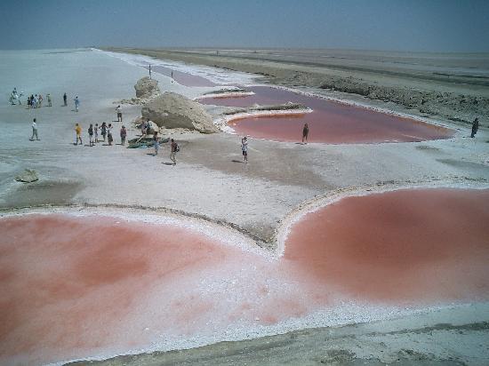 Have you ever visited a desert? If so, which one (s)? What did you think?