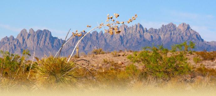 Have you ever visited a desert? If so, which one (s)? What did you think?