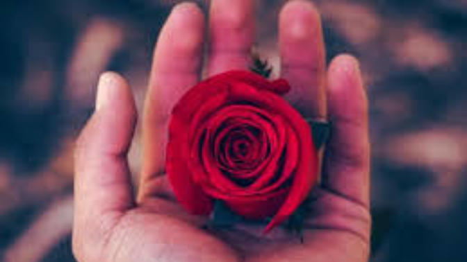 Do you believe in love?