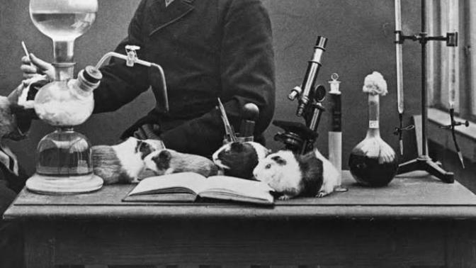 If GOD is "testing" us, are we Guinea Pigs? Those Guinea Pigs that pass the test get CERTIFIED (in experiments) and get to go to HEAVEN? 😇💕?