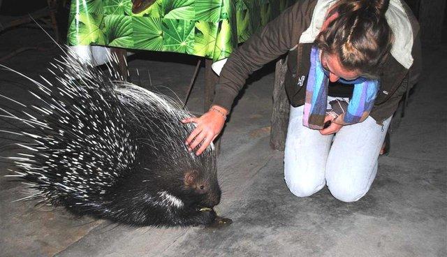 Could just asking out a coworker on a date get you fired or even seen as sexual harassment?