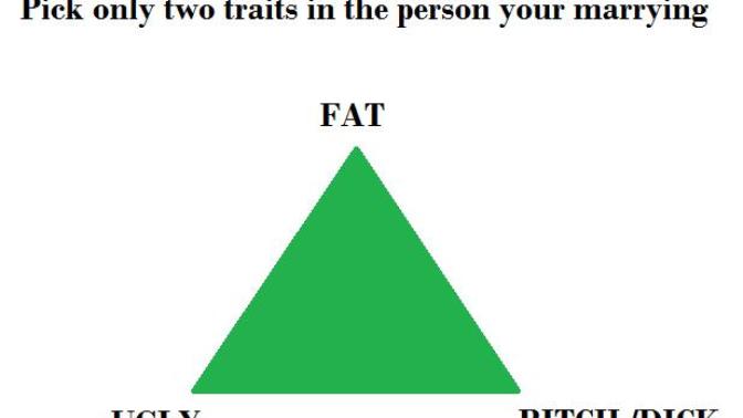 If you had to pick two of these personality traits in a person you had marry, what would you pick?
