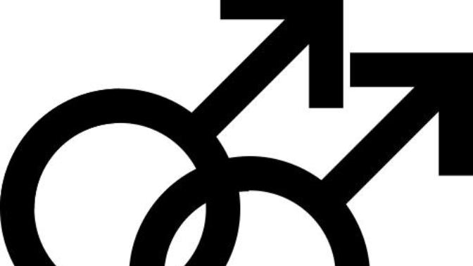 Why Does the western world promote homosexuality?