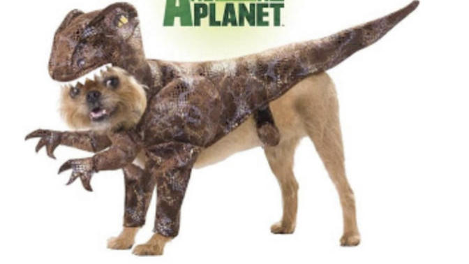 Is this a good Halloween costume for me?