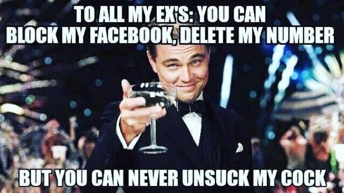 Ladies how would you feel if your ex posted this meme on social media and you know he's referring to you?