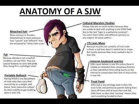 What makes someone a Social Justice Warrior?