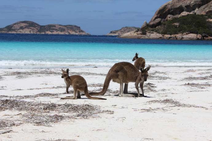 Which state in Australia would you most like to visit?