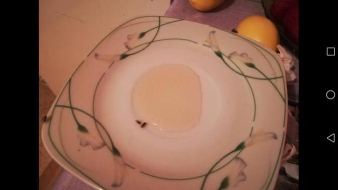 I have flies in the house, I made them drunk?
