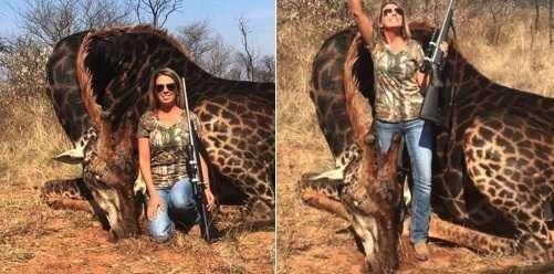 Is tess Thompson Talley guilty?