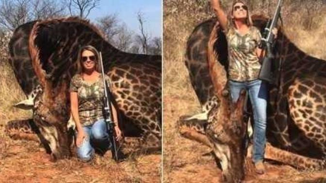 Is tess Thompson Talley guilty?