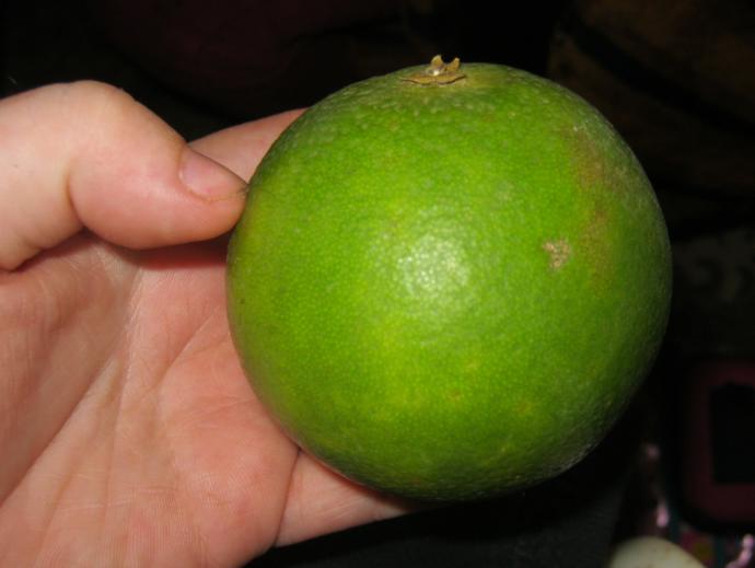 What do you call this?