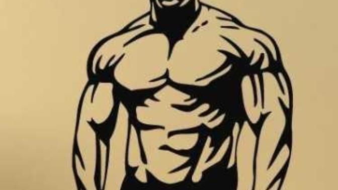 How to earn the respect of an alpha male?