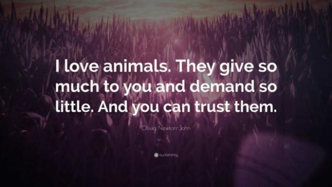 Is it weird that I just like animals better than humans?