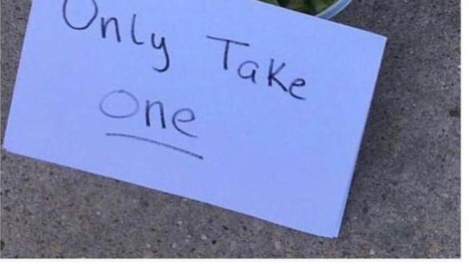 Would *you* only take one?