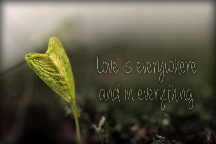 Everything