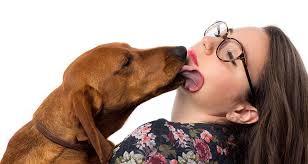 What was the last thing you licked?