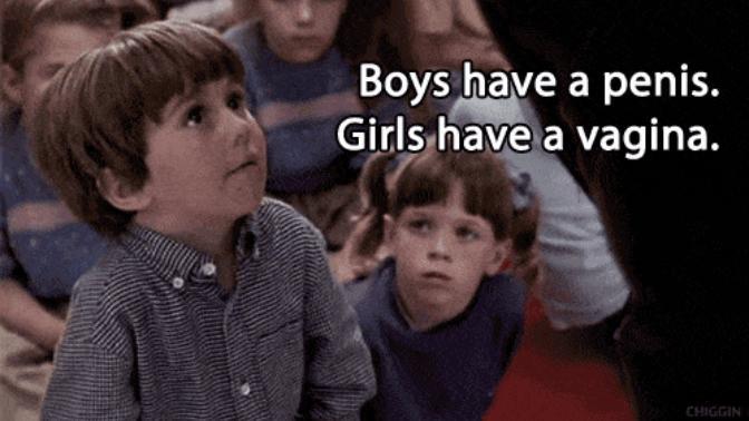 8. What do you think is the main difference between men and women?