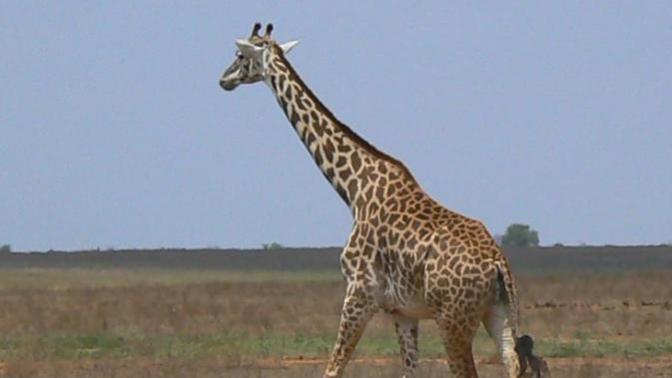 How much does height matter to you and what is the shortest you would date?