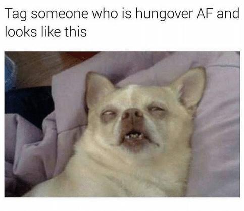 STORY TIME - Worst hangover you’ve ever had?