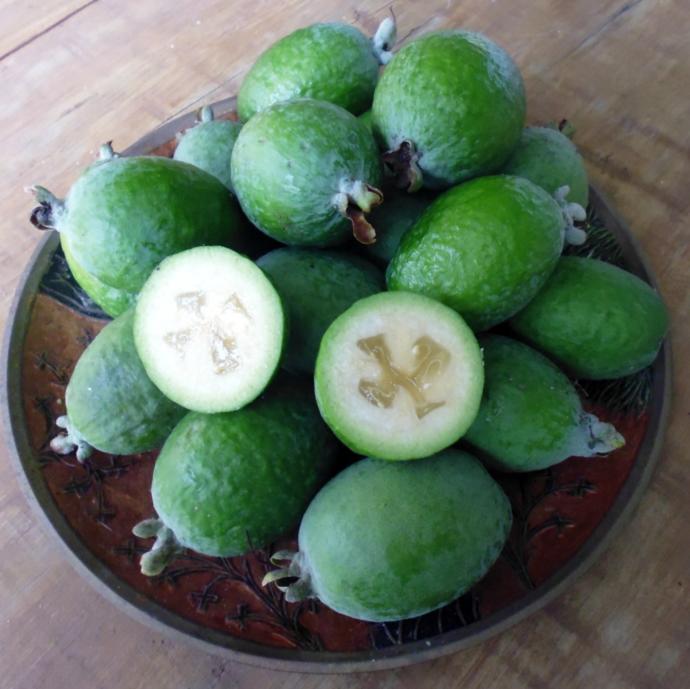 Do you like feijoa?