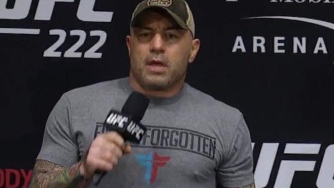 What do you think of Joe Rogan's Tattoo Sleeves?