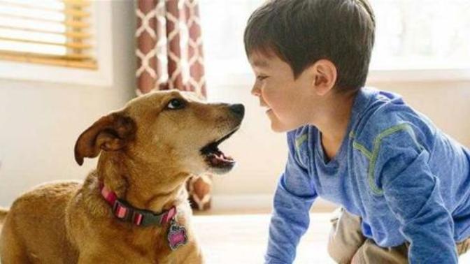 Do you have a pet?