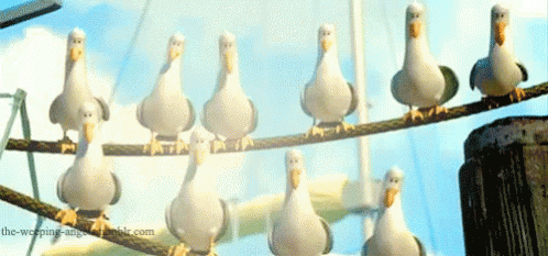 How can I get a pair of boobys like these?