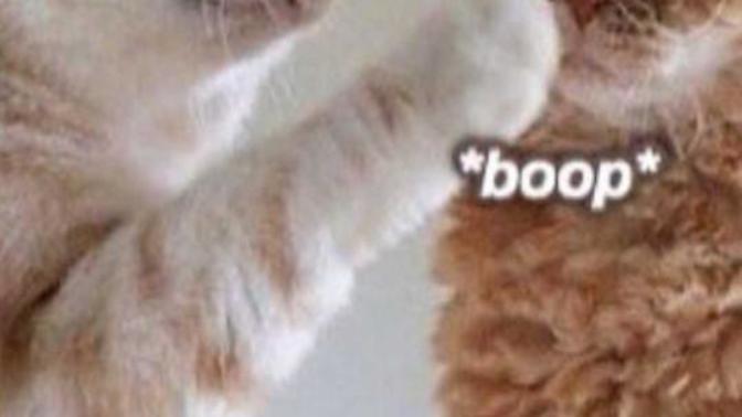 How do I talk to my shy gf?