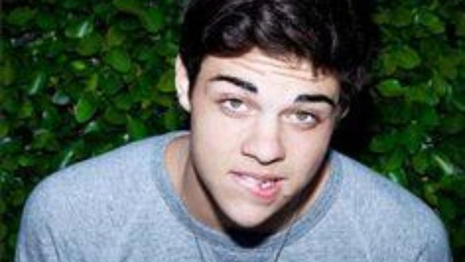 Do you think Noah Centineo is hot?