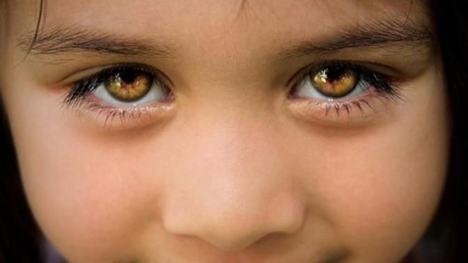 Green eyes vs amber eyes?