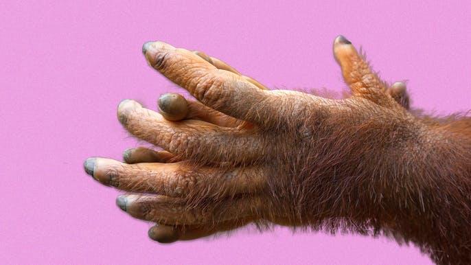 Guys, do you shave your hands and knuckles? Ladies, what do you think about guy shaving their hands and knuckles?