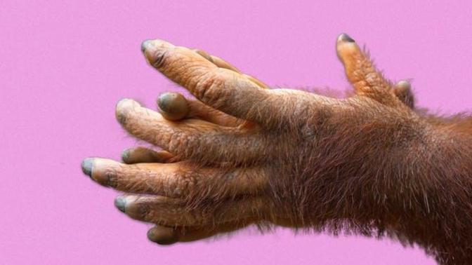 Guys, do you shave your hands and knuckles? Ladies, what do you think about guy shaving their hands and knuckles?