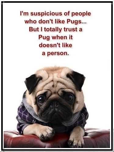 Would you date someone who doesn’t like your pet?