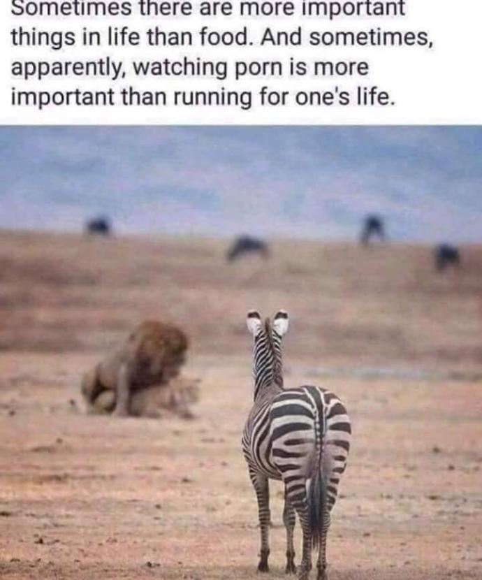 I actually found this hilarious. Did you?