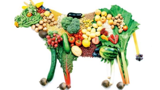 What is your opinion on vegetarianism/veganism?
