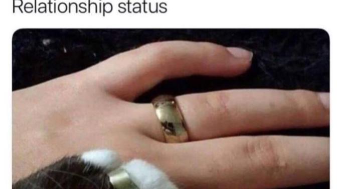 What is your relationship goals? and what is your current status?