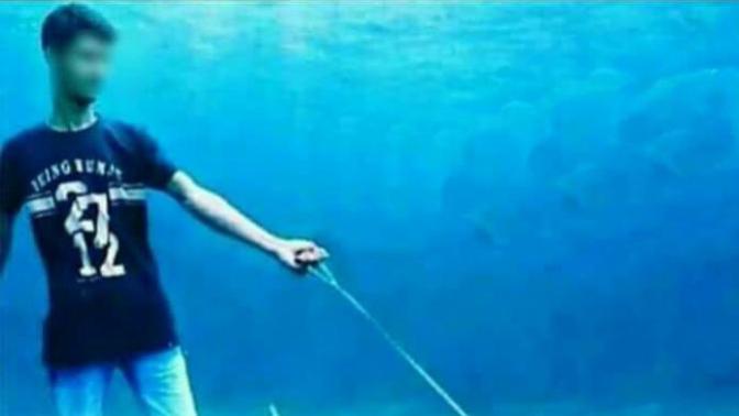 Do you have a pet shark?