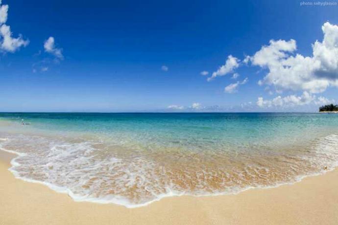 Where do you wanna spend your honeymoon?